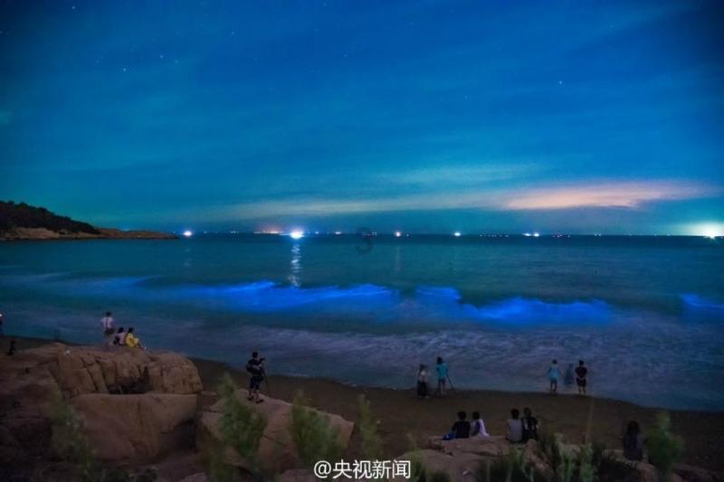 迪士尼魔法学校